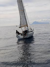 Te Salt 6.50 Felci Cruiser - Anno 2004