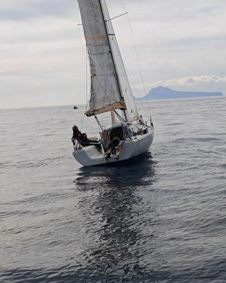 Te Salt 6.50 Felci Cruiser - Anno 2004