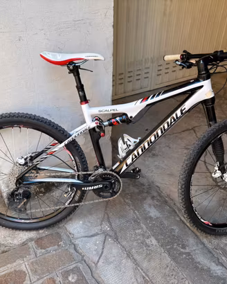 Mountain bike