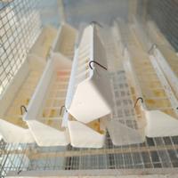 MANGIATOIE ANTISPRECO DA 20CM