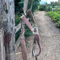 Capezza e accessori equitazioni trattabili