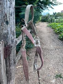 Capezza e accessori equitazioni trattabili