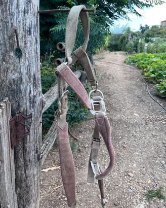 Capezza e accessori equitazioni trattabili