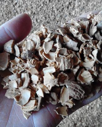 NOCCIOLINO, SANSA E GUSCIO DI MANDORLA