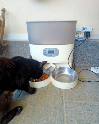 Mangiatoia doppia per gatti WI FI