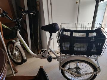 bicicletta/triciclo elettrico per adulti