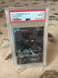 Zekrom Bianco e Nero PSA 8 Italiano
