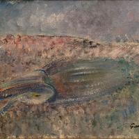 G. Omiccioli "Seppia piccola "con archivio