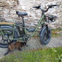 Bicicletta elettrica da carico