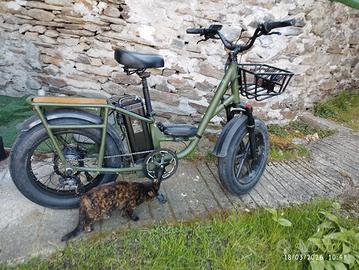 Bicicletta elettrica da carico