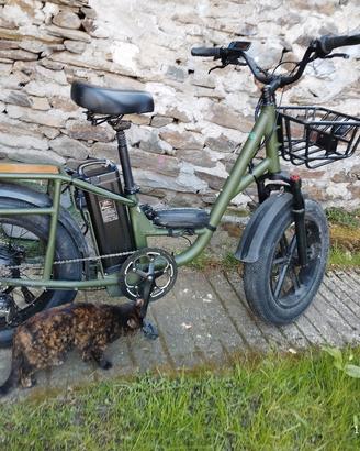 Bicicletta elettrica da carico