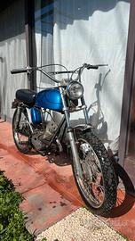 Morini corsarino