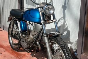Morini corsarino