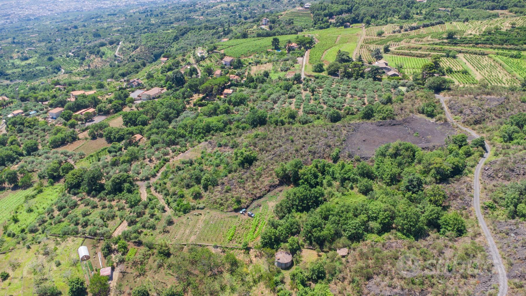 Terreno agricolo - Mascali - Vista 3