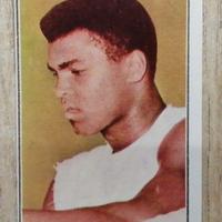 Figurina Pugilato Cassius Clay #451 1967