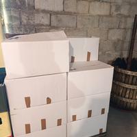 Bottiglie birra 0.5 L