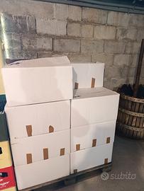 Bottiglie birra 0.5 L