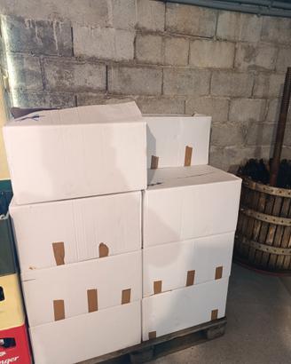 Bottiglie birra 0.5 L