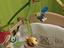 Immagine 1
