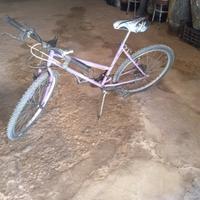 Mountain bike 