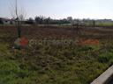 terreno-residenziale-cerea-cod-rif-221vrg-