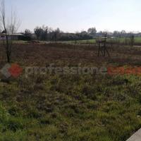Terreno Residenziale Cerea [Cod. rif 221VRG]
