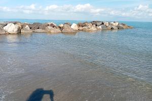 Dal 13 settembre 350 MT mare Mazzanta Animali ok 