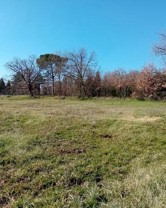 Terreno Residenziale Nepi [Cod. rif 3339933VRG]