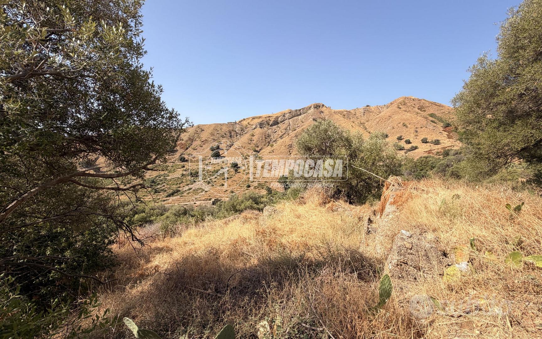 TERRENO AGRICOLO SCOSCESO A ROCCALUMERA - Vista 5