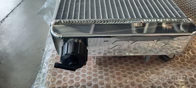 Radiatore IAME BIG