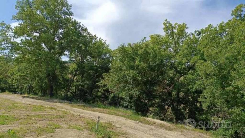 Immobile in asta di 31390 m² a Ripatransone - Vista 3