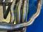 Immagine 11