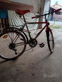 bicicletta