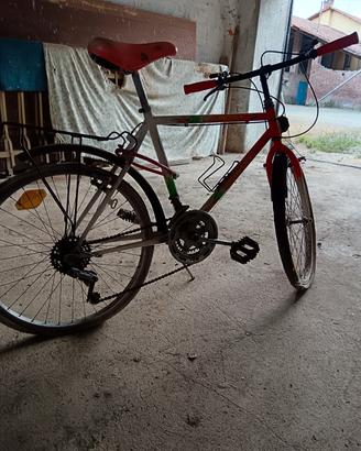bicicletta