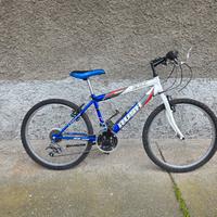 Bicicletta Junior 24" Cambio Shimano