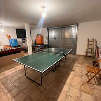 Tavolo da ping pong pieghevole e dotato di rotelle