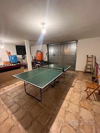 Tavolo da ping pong pieghevole e dotato di rotelle
