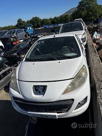 Ricambi muso peugeot 207 cc cabrio