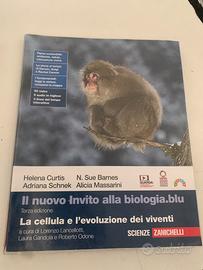 Libro isbn978880876397-6
