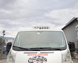 Fiat Ducato 2.3 Diesel Frigo