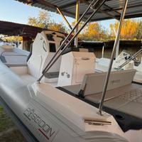 Poseidon Twentythree - Honda 115 cv