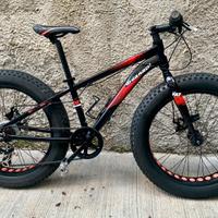 Fat bike
