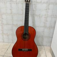 CHITARRA SUZUKI N102