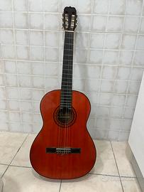 CHITARRA SUZUKI N102