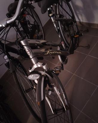 bici da passeggio