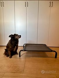 Brandina per cani