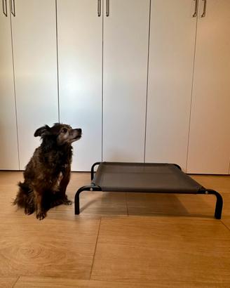 Brandina per cani