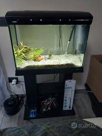 acquario 80 litri