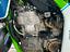 Immagine 5