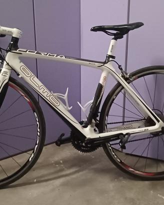 BICI DA CORSA OLMO FORMA S